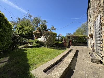 Picture 26